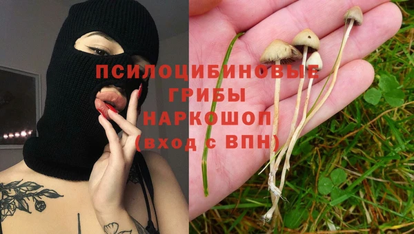 ECSTASY Болхов