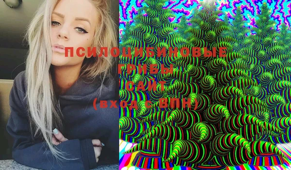 2c-b Горняк