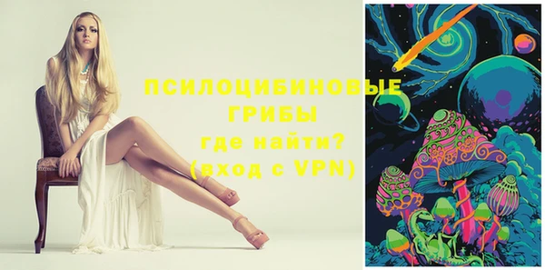 мет Болотное