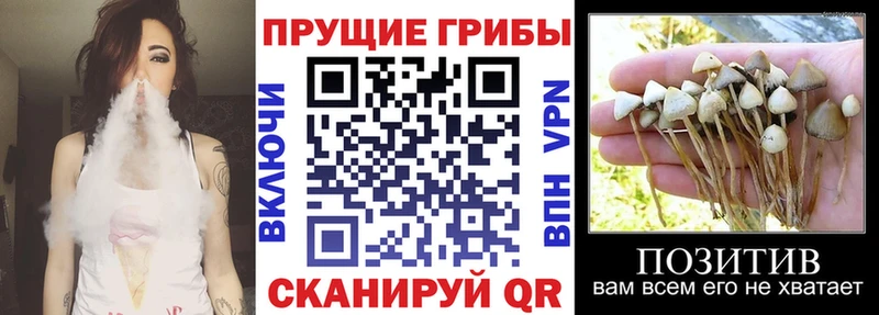 Галлюциногенные грибы Magic Shrooms  Олёкминск 